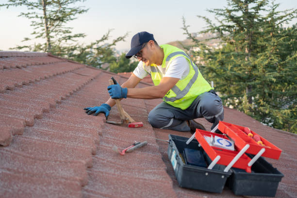 Best Flat Roof Repair Services  in Silver Springs, NV