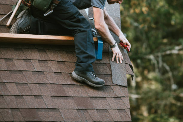 Best Roof Gutter Cleaning  in Silver Springs, NV